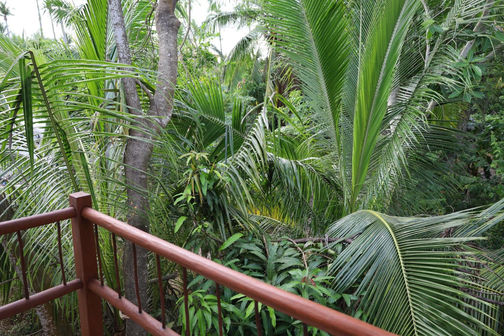 Solez Zihuatanejo